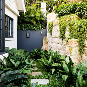 Bellevue Hill - Tropical Side Garden