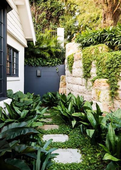 Growing Rooms' Tropical-Inspired Entertainer's Garden | Houzz AU