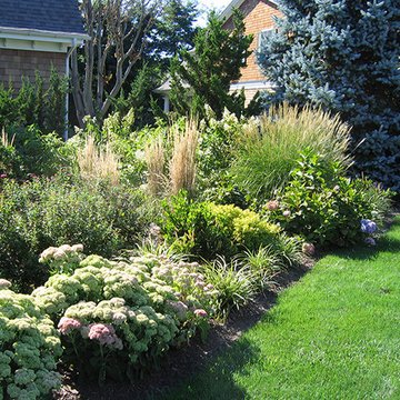 Hamptons Hydrangeas