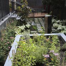 Backyard ideas