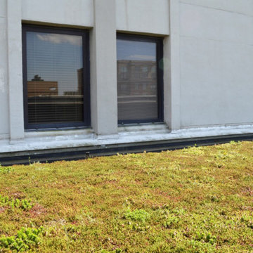 Green Roof Projects