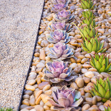 Yard - Entry way, low water
