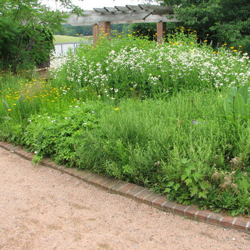 Native Perennial Gardens
