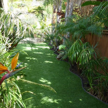 Meadowmist Side Yard