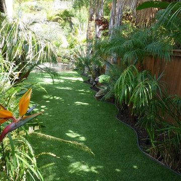 Artificial Grass Back Yard