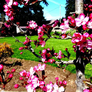 Master Gardener Landscape Makeover Rain Garden