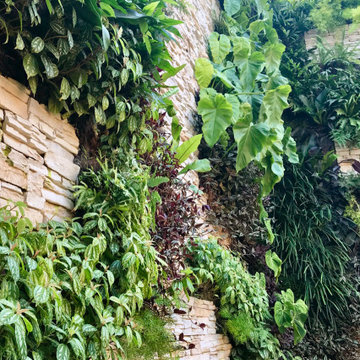 Living Walls