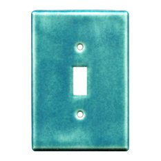 3dRose lsp_168037_1 Everyday is a Special Occasion in Turquoise Light Switch Cover 3dRose lsp_168037_1 Everyday is a Special Occasion in Turquoise Light Switch Cover