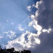 Nikki Johnston's photo