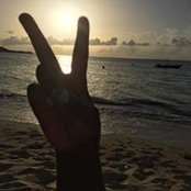 Vicki Wrice's photo