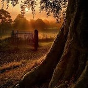 Peggy Olson's photo