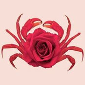 Debra De Abreu's photo
