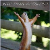 Manon de Maisonneuve's photo