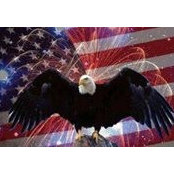 Jody Bickmeyer's photo