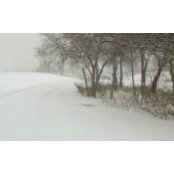 Jackie McGarry DeMauro's photo