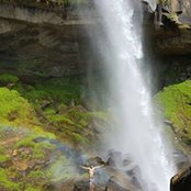 Liron Yaakov's photo