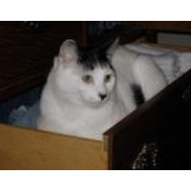 Elizabeth Nielson's photo