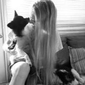 Colleen Lea's photo