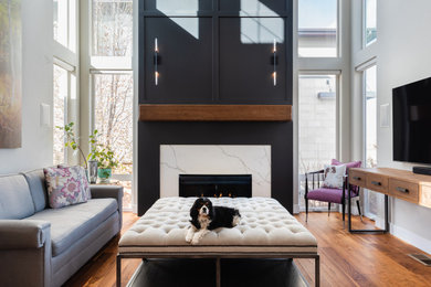 Living room - living room idea