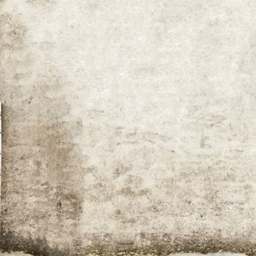 5 Do’s and Don’ts to Make Home’s Exterior Mold Free