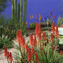 Landscape Ideas