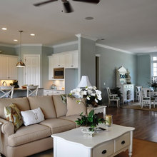 Interior House Paint
