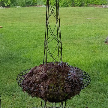 My Garden