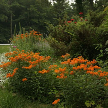 Native Plants of the Northeast