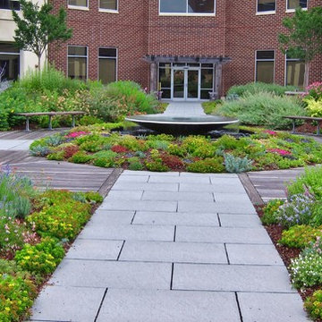 ROOFTOP GARDEN / A Long Term Heritage Project