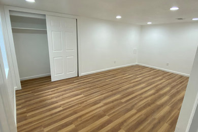 Inspiration for a basement remodel in Denver