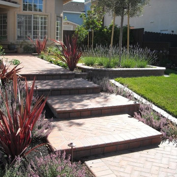 Landscape Design & Installations