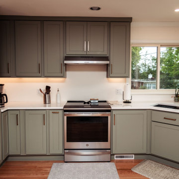 Evergreen Remodel