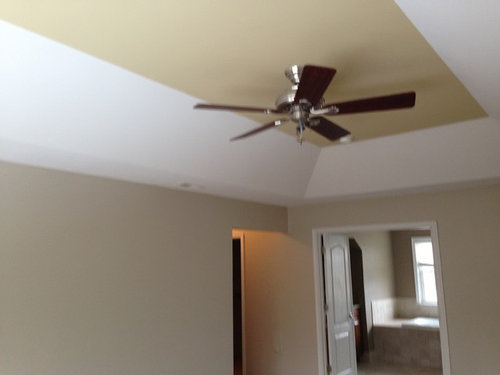 Suggestions For Tray Ceiling Color