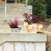 Foto von Bauplanungsbüro Ines Deutsch
