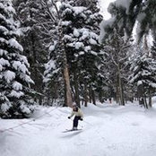 Esther Bélanger's photo