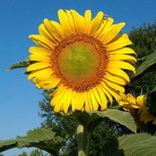 Foto von nannyn