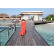 Wen Wang's photo
