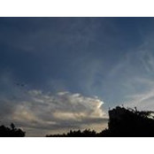 Aleja Salgado's photo