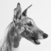 Ian Lefebvre's photo