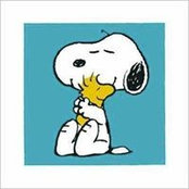 Cynthia Little's photo