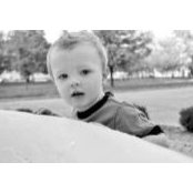 Sean Feeney's photo