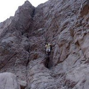 Mohamed Samalouty's photo