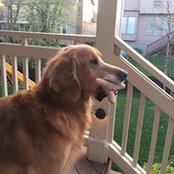 Leslie Rottinghaus's photo