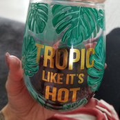 Foto von Vanessa Miranda