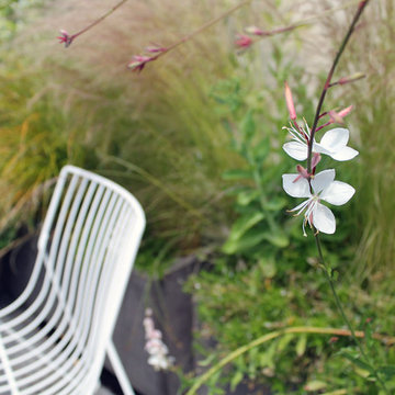 Belgravia Roof Terrace