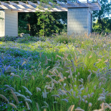 Teardrop Meadow