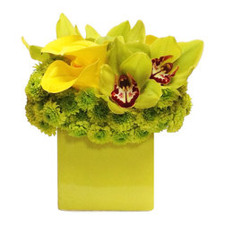 Lime Spritz - Home Decor