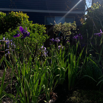 Pocket parks at Tumwater HOA
