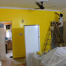PAINTING SERVICE / HOUSE PAINT / TEXTURE PAINTS