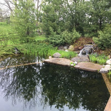 Pond and miscellaneous likes